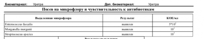 Микрофлора чувствительность к антибиотикам. Посев мочи на микрофлору и чувствительность. Бак посев на чувствительность к антибиотикам. Посев мочи на чувствительность к антибиотикам. Моча на флору и чувствительность к антибиотикам.